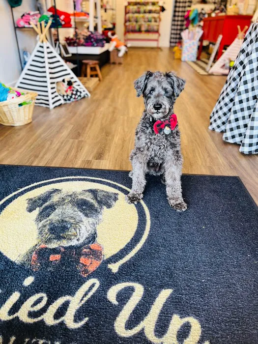 Gussied Up Pet Boutique Picture 6