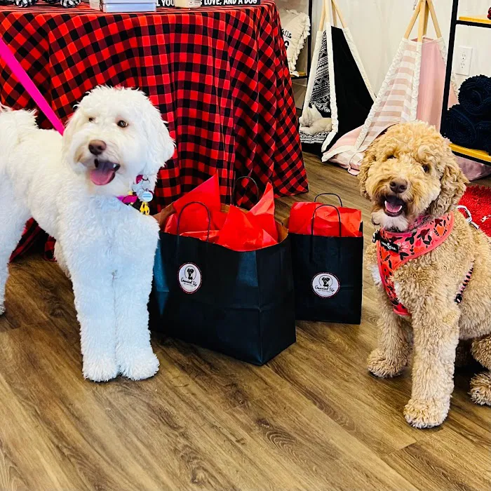 Gussied Up Pet Boutique Picture 7