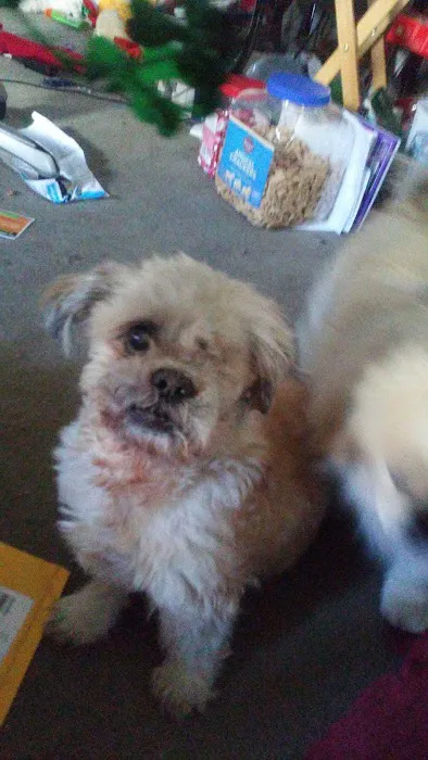 Emerson Animal Hospital Picture 10