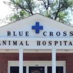 Blue Cross Animal Hospital