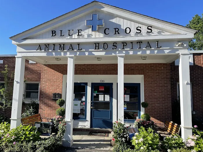 Blue Cross Animal Hospital Picture 3