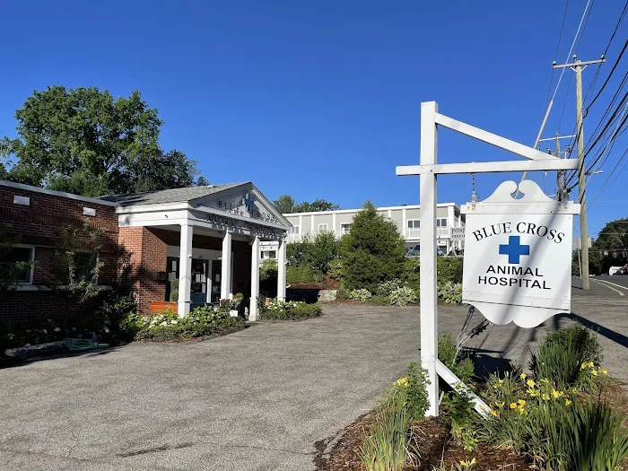 Blue Cross Animal Hospital Picture 6