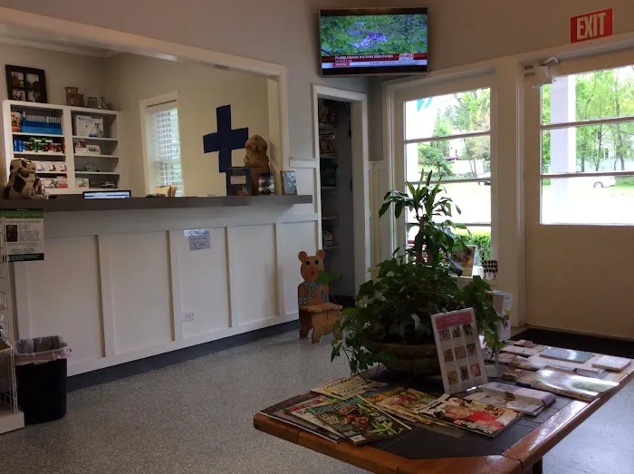 Blue Cross Animal Hospital Picture 5