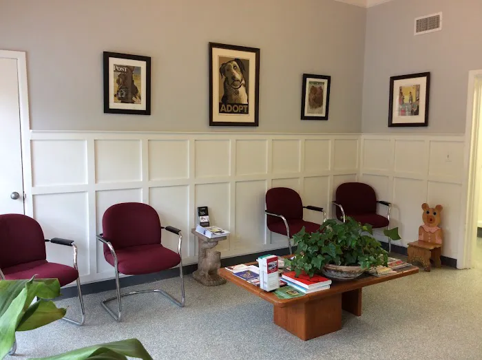 Blue Cross Animal Hospital Picture 7