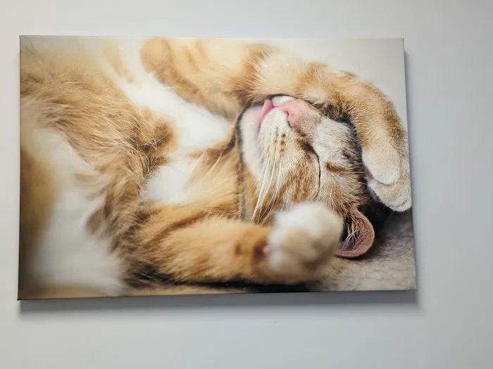 Palisades Veterinary Hospital Picture 7