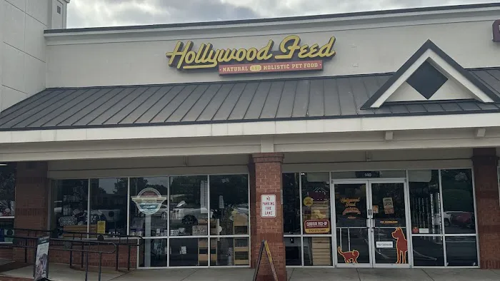 Hollywood Feed Picture 6