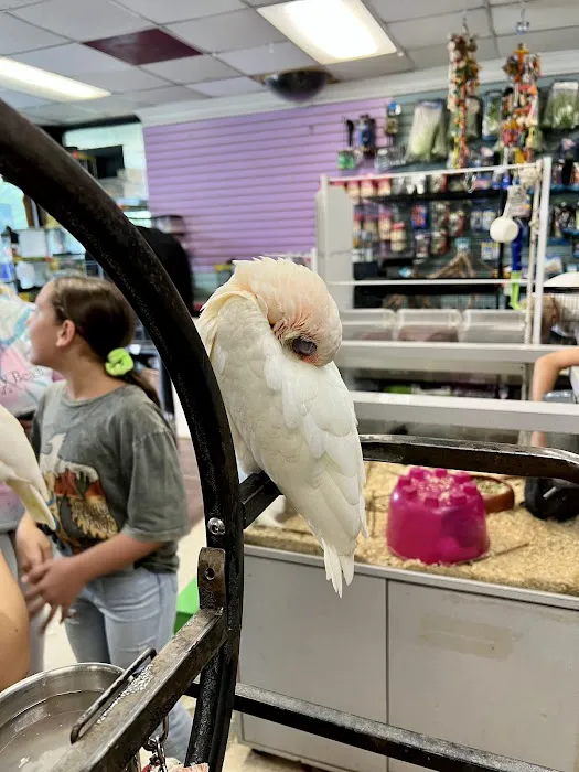 Animal Atlanta Picture 6