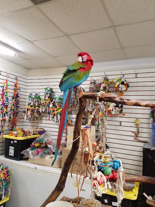 Animal Atlanta Picture 4