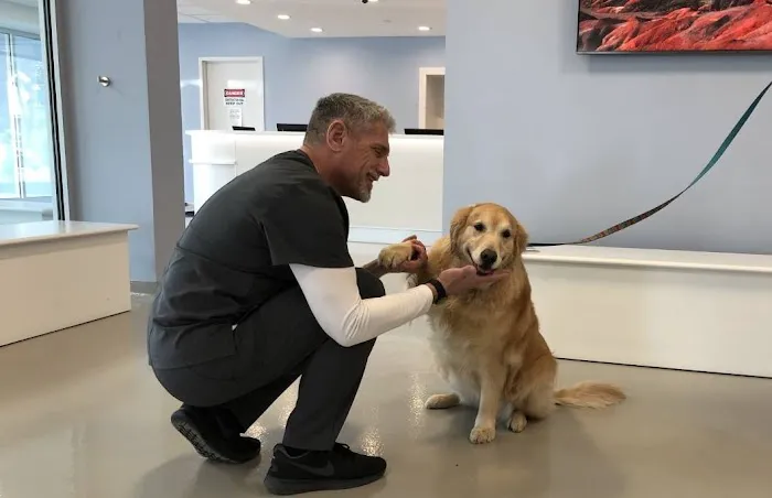 Westwood Regional Veterinary Hospital Picture 4