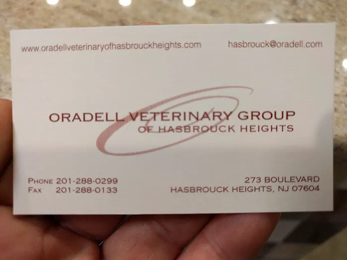 Oradell Veterinary Group of Hasbrouck Heights Picture 7
