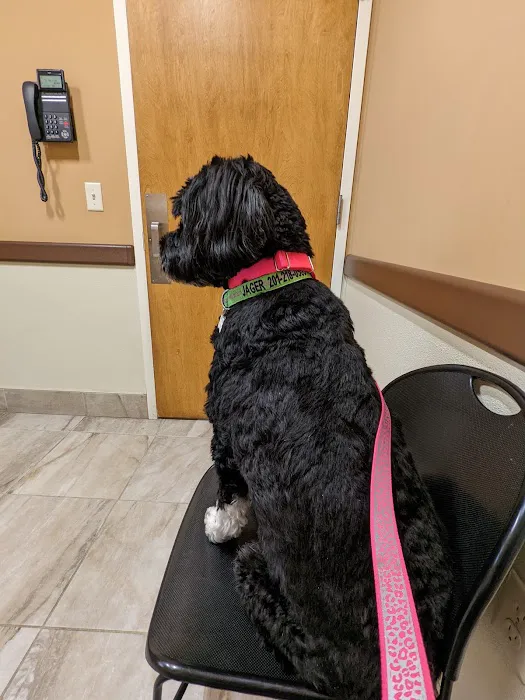 Oradell Veterinary Group of Hasbrouck Heights Picture 10