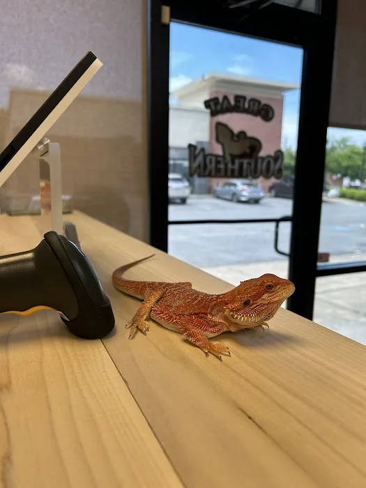 Great Southern Reptile Picture 1