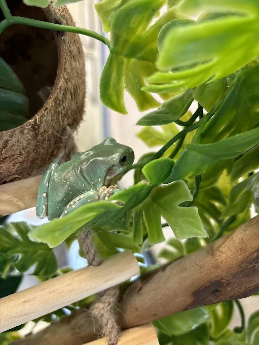 Great Southern Reptile Picture 5
