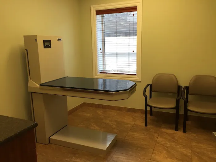 Animal Hospital of Hasbrouck Heights Picture 5