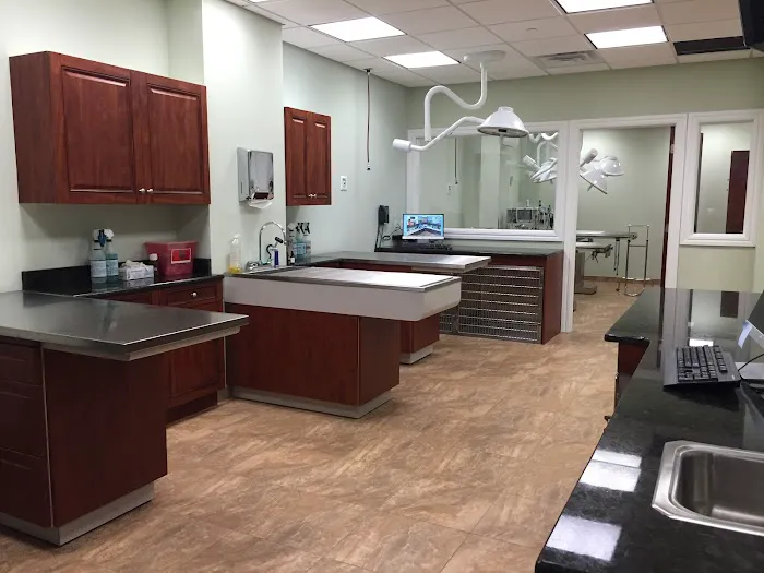 Animal Hospital of Hasbrouck Heights Picture 8
