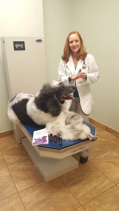 Animal Hospital of Hasbrouck Heights Picture 2