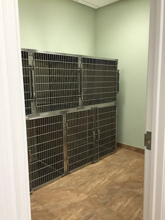 Animal Hospital of Hasbrouck Heights Picture 3