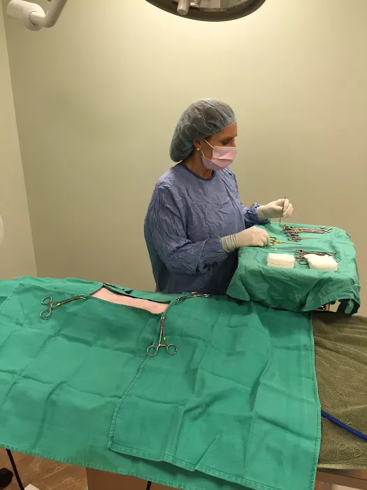 Animal Hospital of Hasbrouck Heights Picture 4
