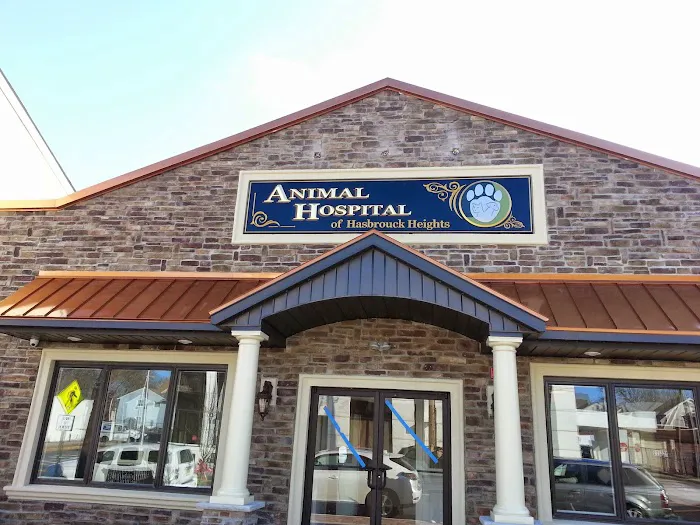Animal Hospital of Hasbrouck Heights Picture 9