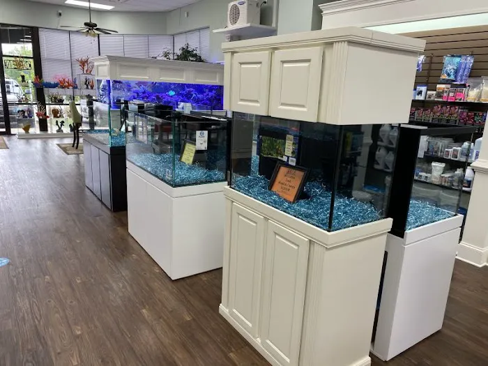 Pure Reef Picture 1