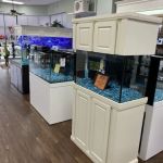 Pure Reef