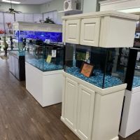 Pure Reef ico