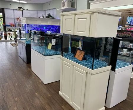 Pure Reef