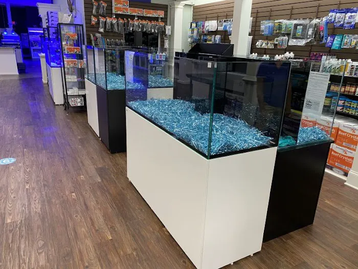 Pure Reef Picture 6