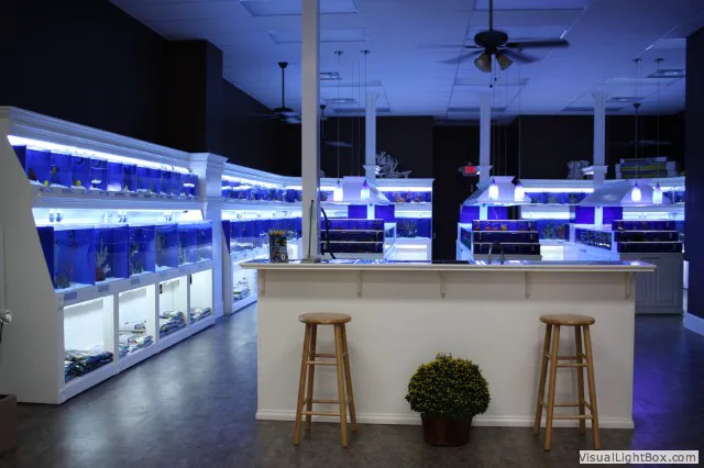 Pure Reef Picture 3