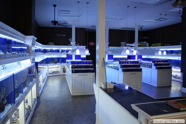 Pure Reef Picture 2