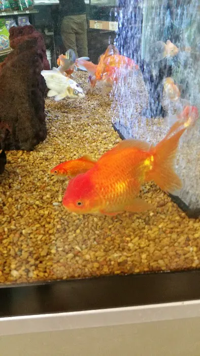 Petco Picture 3