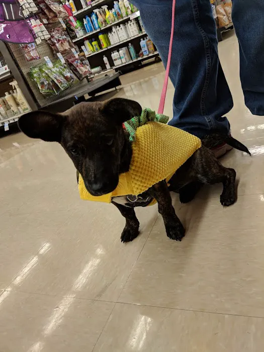 Petco Picture 5