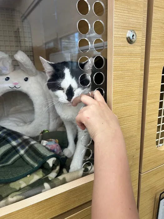 Petco Picture 6