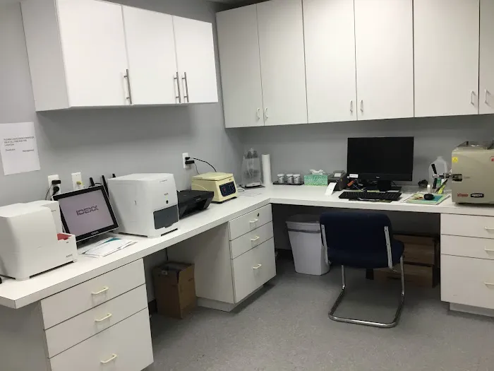 Saddle Brook Veterinary Center Picture 4