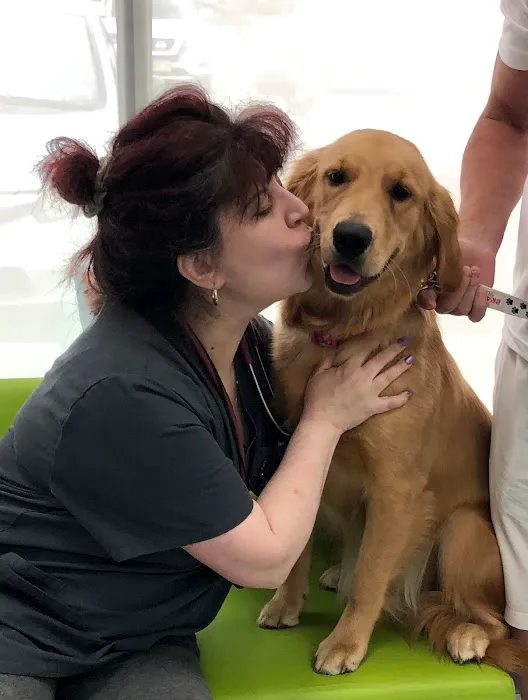 Saddle Brook Veterinary Center Picture 10