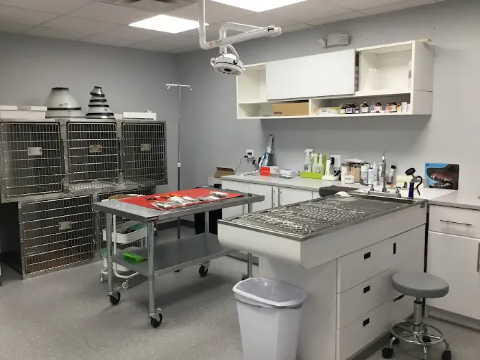 Saddle Brook Veterinary Center Picture 7