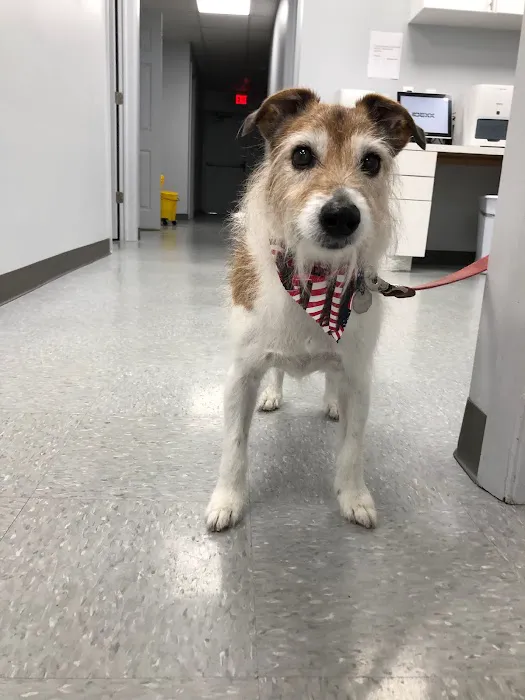Saddle Brook Veterinary Center Picture 9