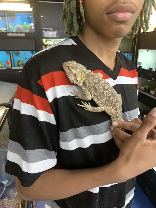 Pet Supplies Plus Carrollton Picture 1