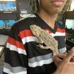 Pet Supplies Plus Carrollton