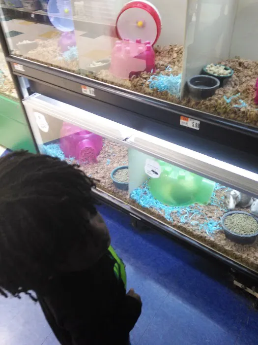 Pet Supplies Plus Carrollton Picture 10