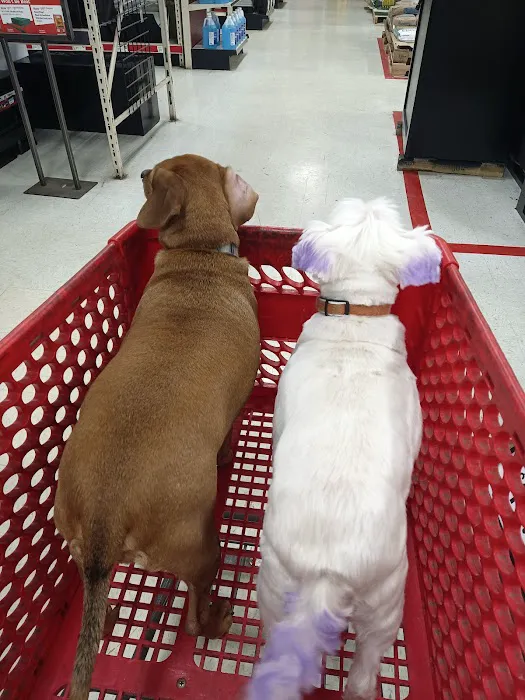 Pet Supplies Plus Carrollton Picture 8
