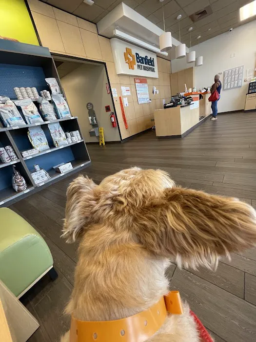 Banfield Pet Hospital Picture 1