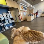 Banfield Pet Hospital