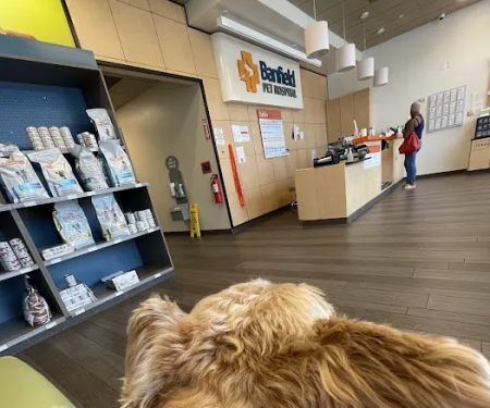 Banfield Pet Hospital