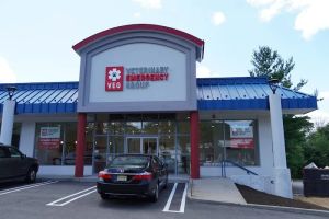 Auto Service Center