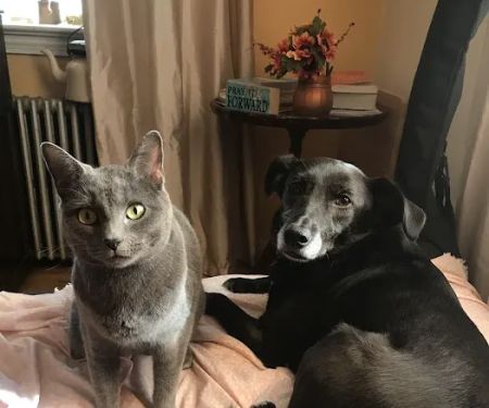 Valley Brook Veterinary Hospital
