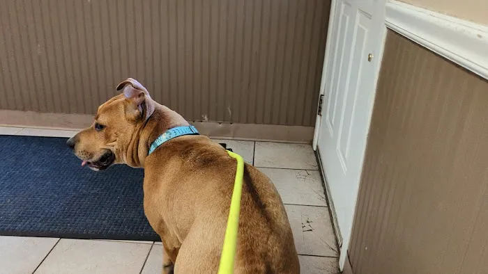 Valley Brook Veterinary Hospital Picture 5