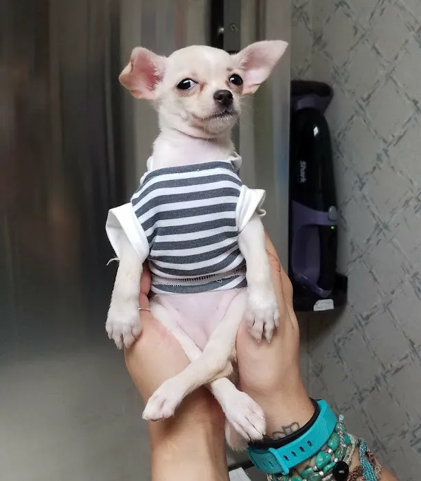 Farview Animal Clinic Paramus Picture 10