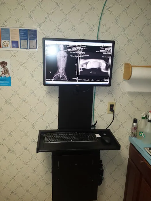 Farview Animal Clinic Paramus Picture 3