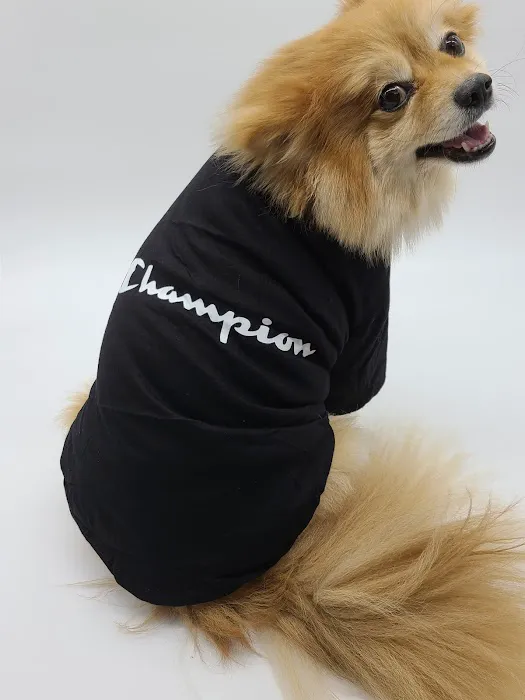 Furberrys Pet Boutique Picture 2
